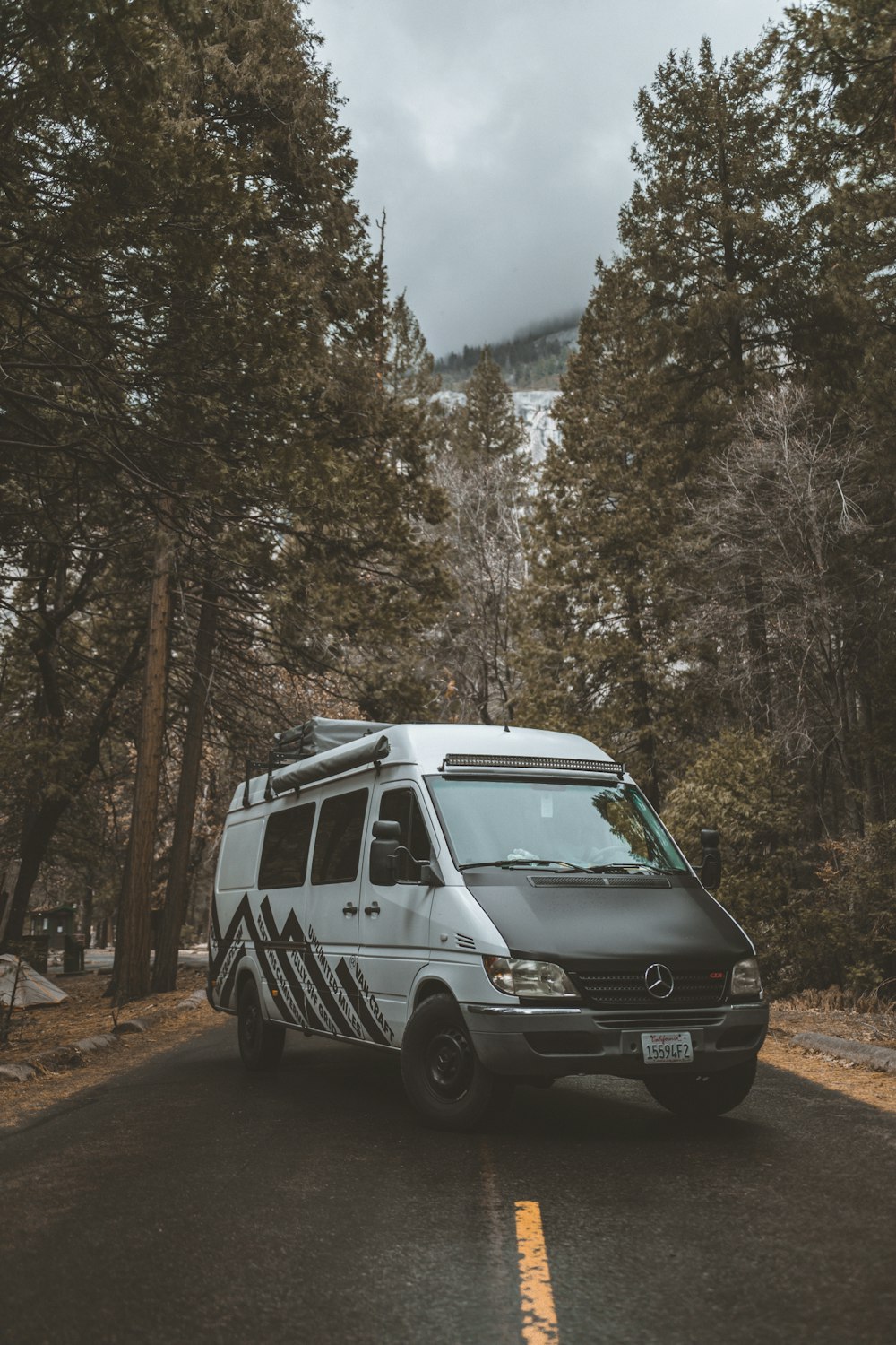 white and blue van parked near trees during daytime