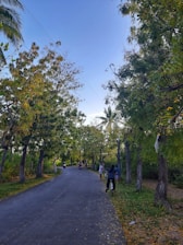 A serene, tree-lined pathway stretches ahead, bordered by lush green trees on both sides. People are casually walking and cycling, creating a peaceful, communal atmosphere. The sky is a clear blue, adding to the tranquil setting.