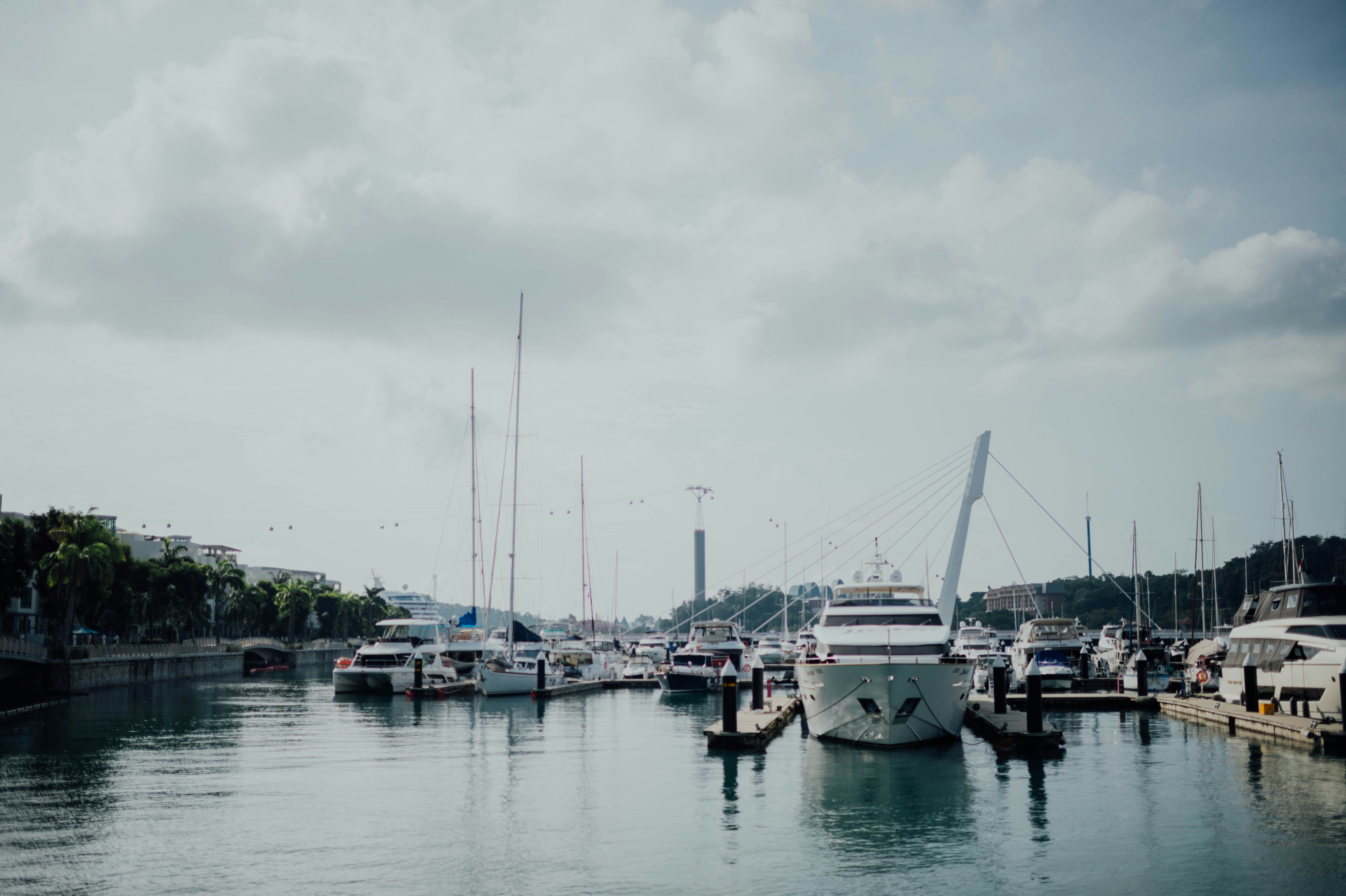 Photo by chuttersnap