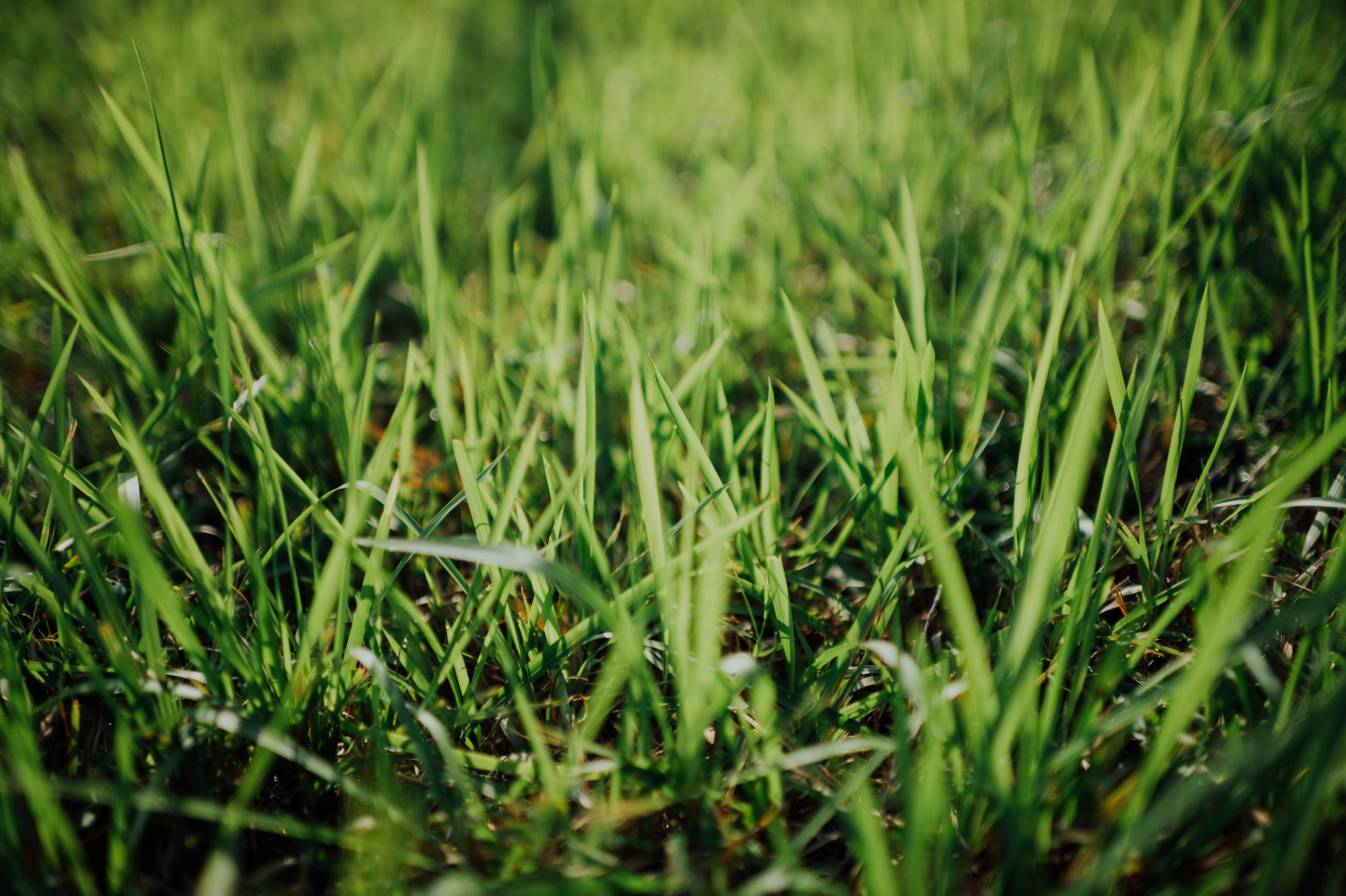 Photo by chuttersnap