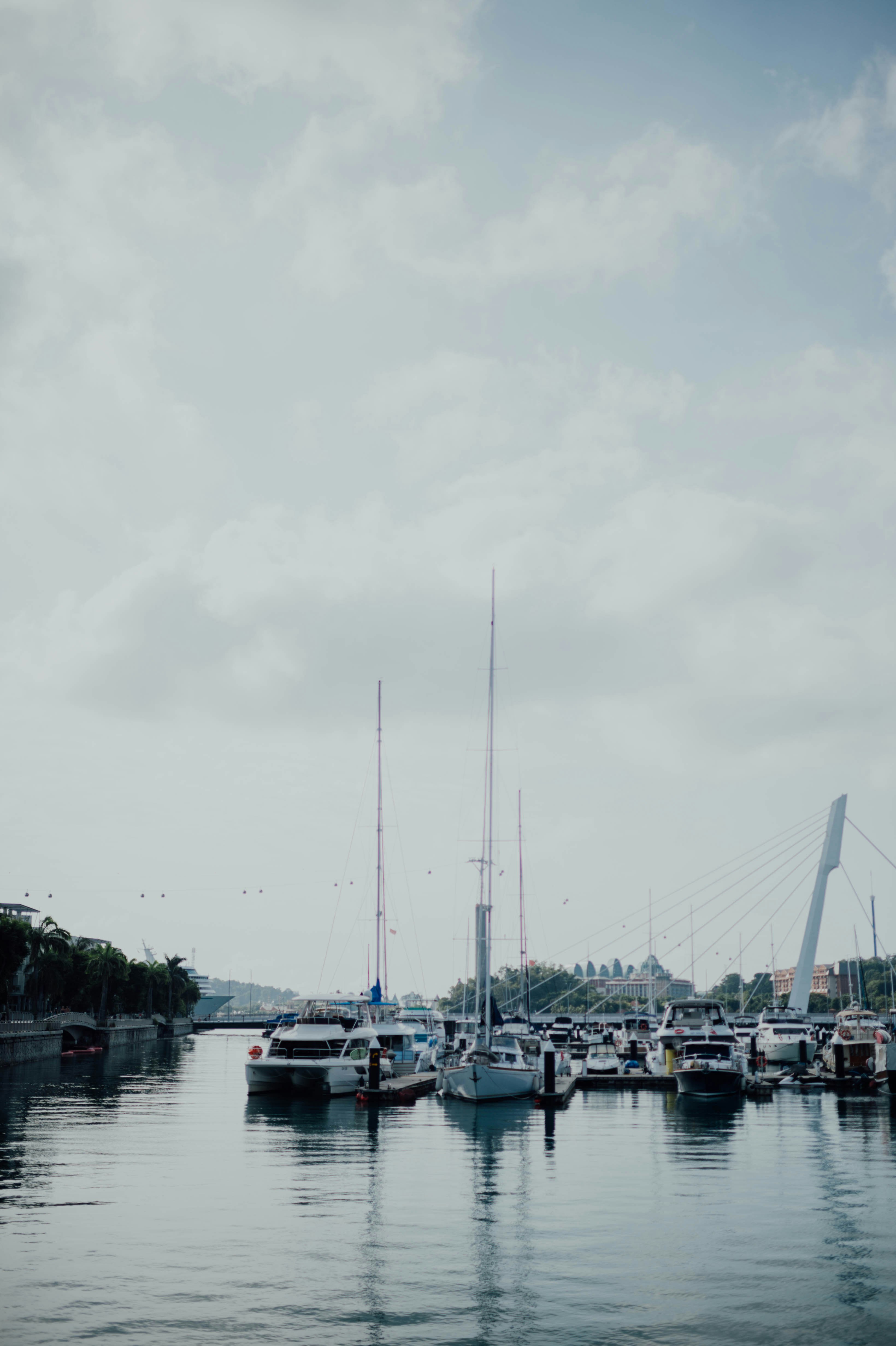 Photo by chuttersnap