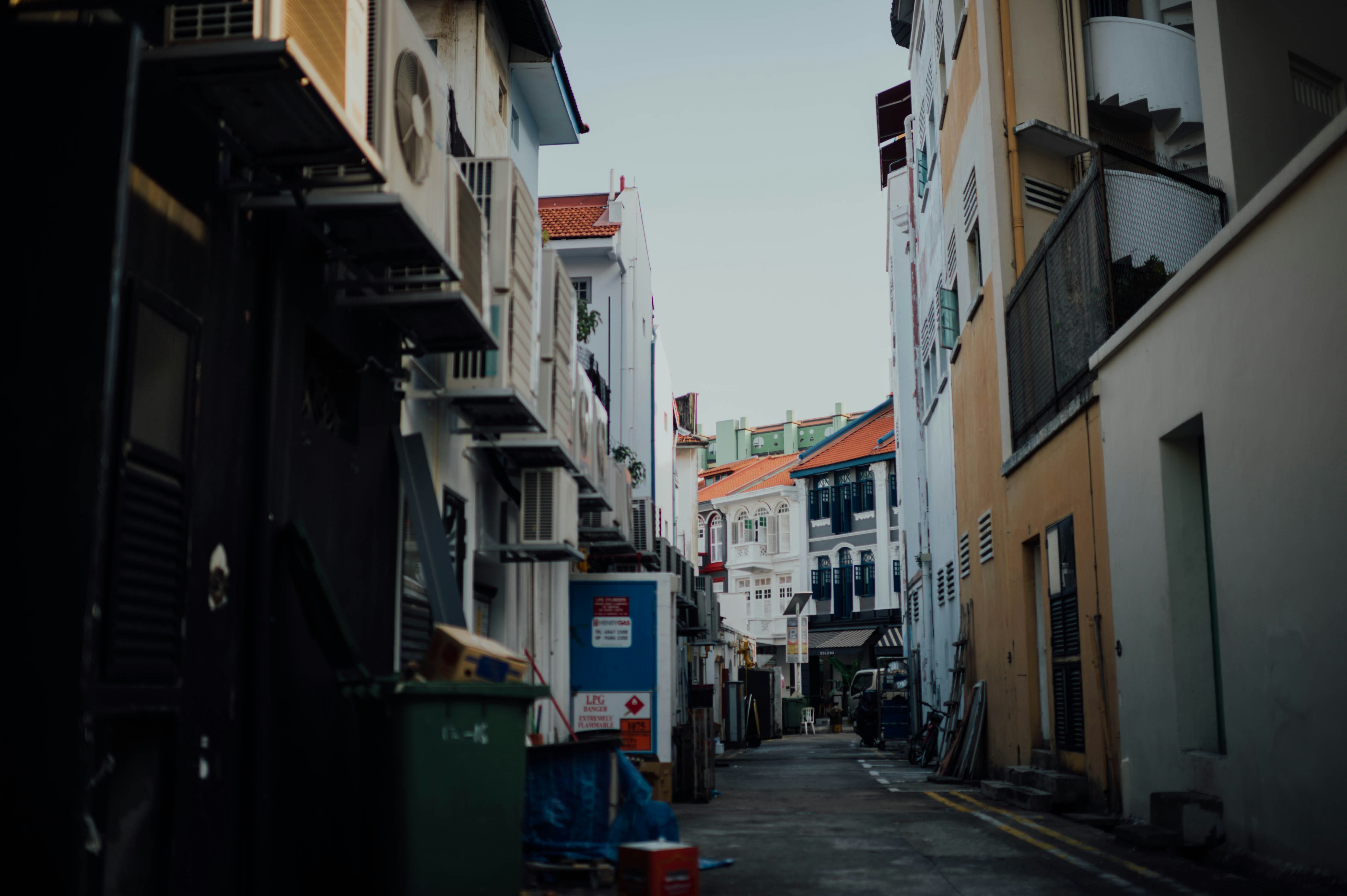 Photo by chuttersnap