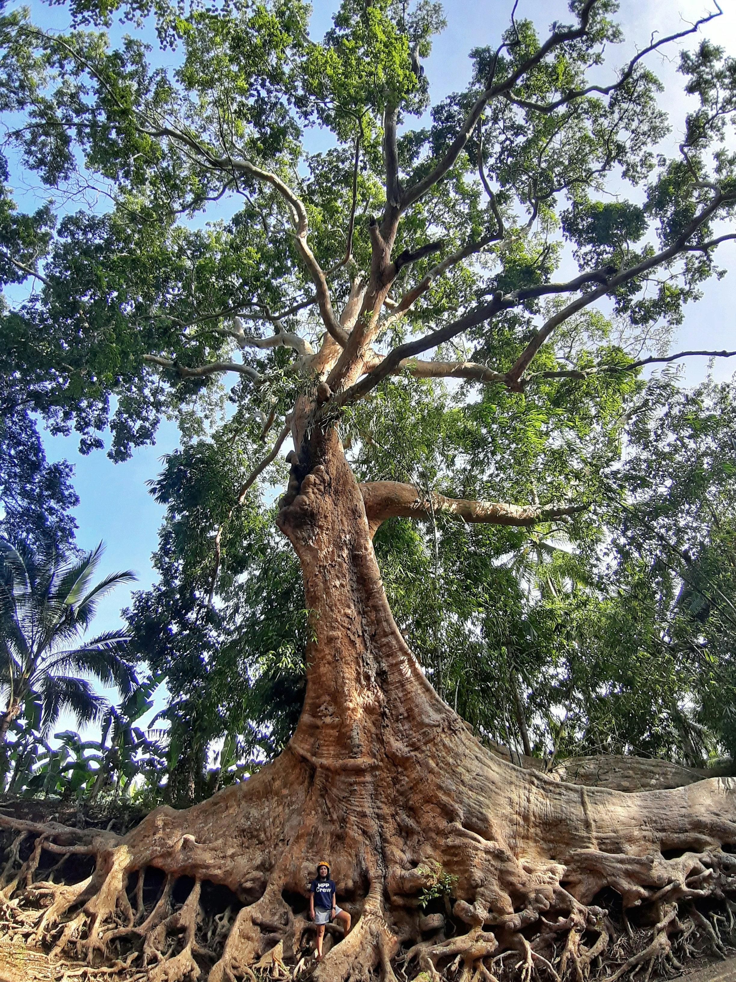 Photo by greys_kapuyan