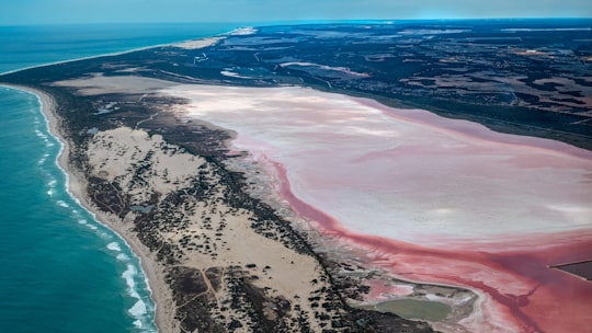 aerial view of beach during daytime in Geraldton Australia