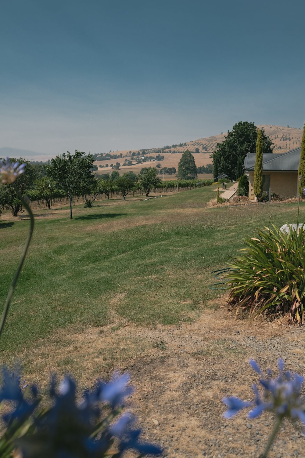 green grass field near house during daytime