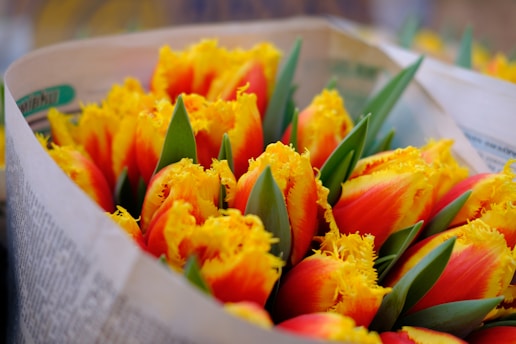 yellow and red tulips bouquet