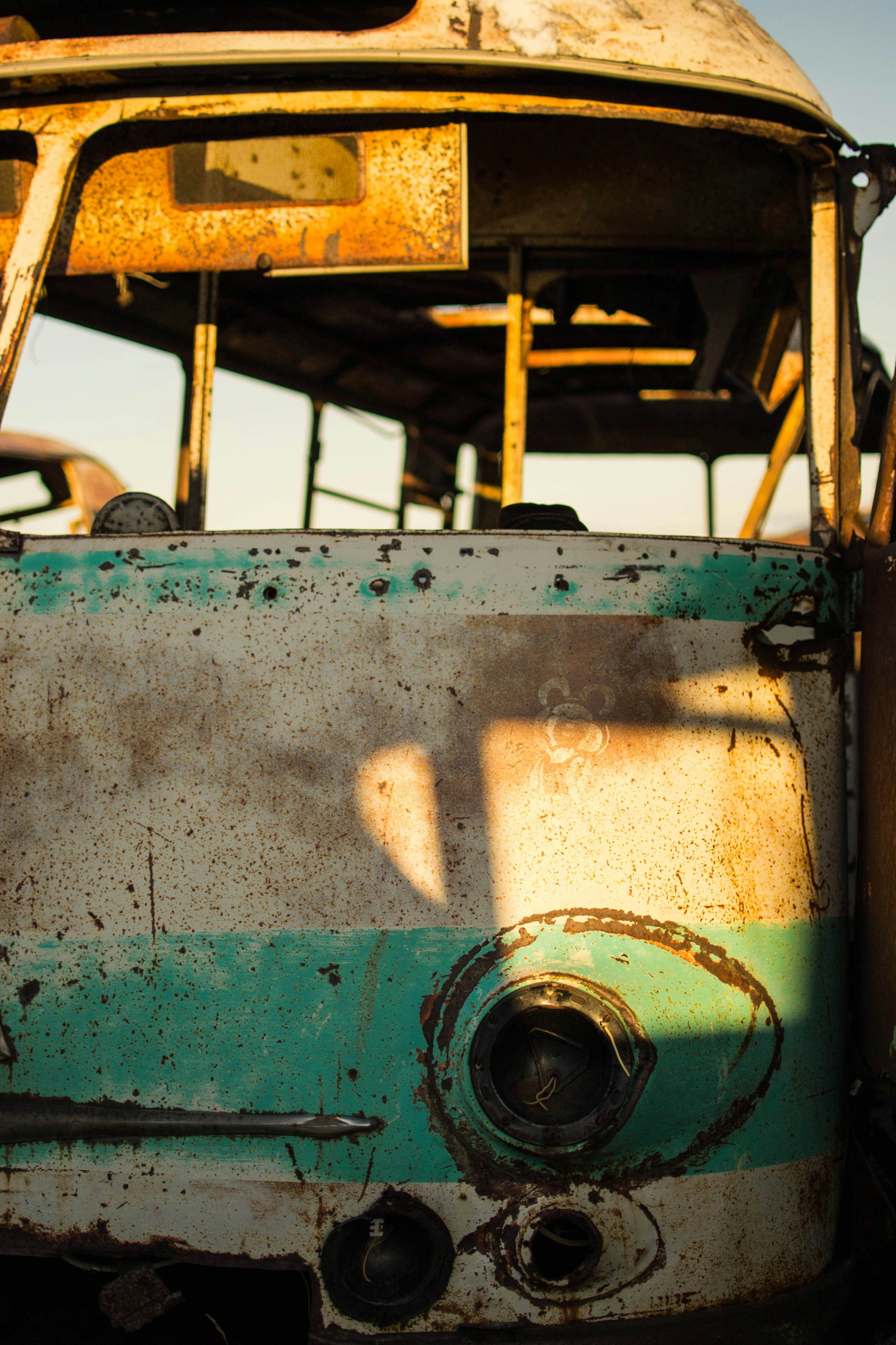 Photo by romanenko29061983