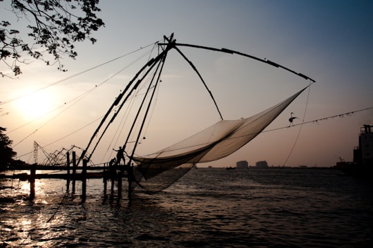 Chinese fishing nets things to do in Kadamakkudy