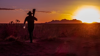silhouette of man standing on grass field during sunset
