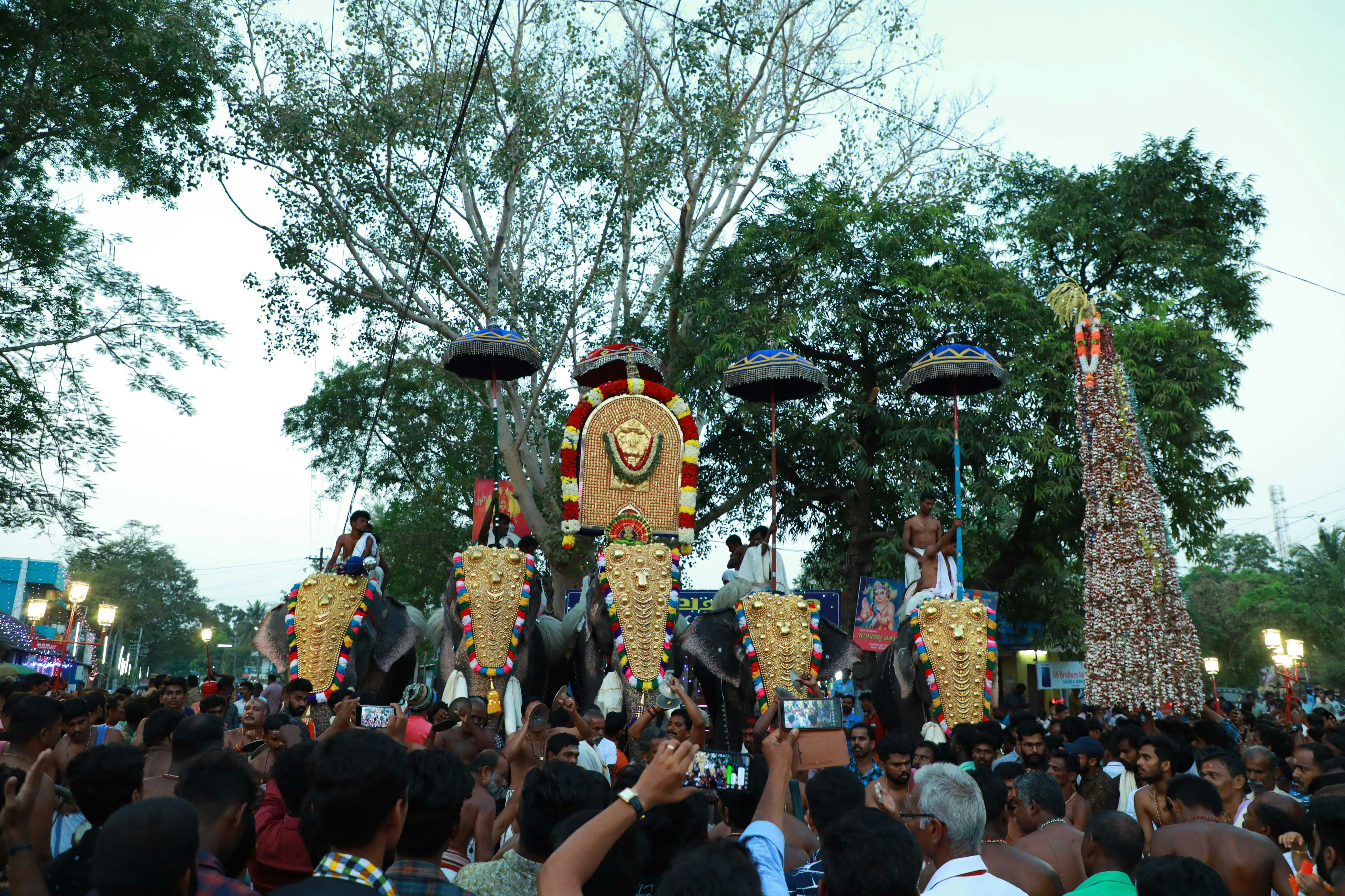 Ceremonial elephant procession through palace gates, adorned with gold and crimson regalia, crowds lining the route, festive atmosphere