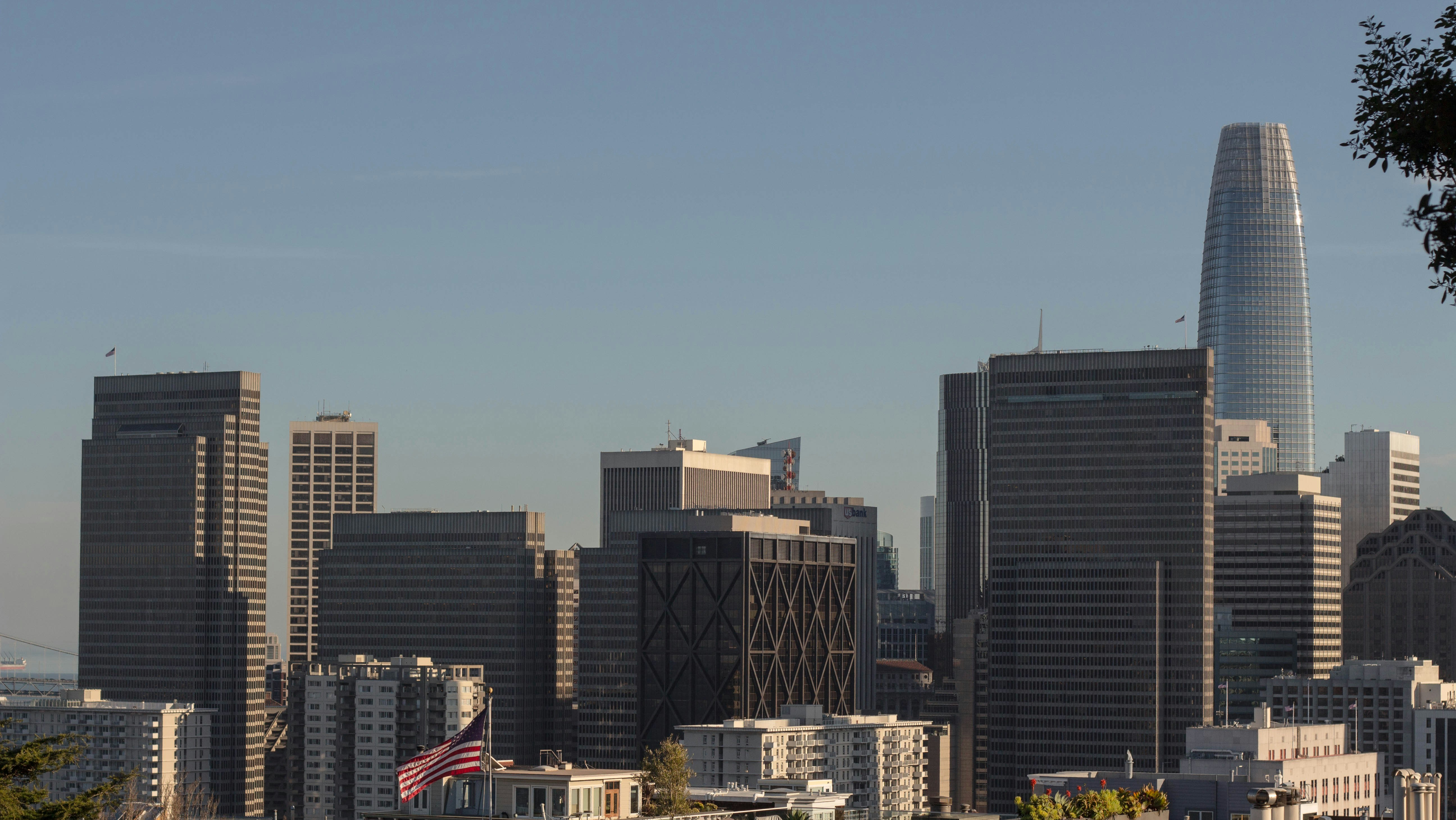 Photo by jonathansaleh