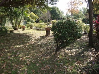 A serene garden with freshly blown leaves arranged in neat piles.