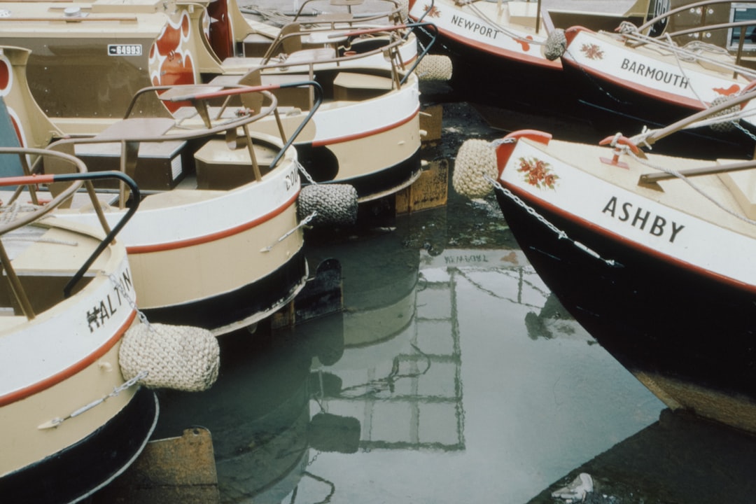 white and red boat on water