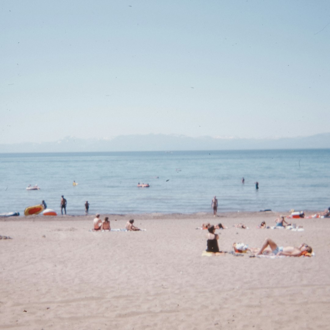 people on beach during daytime