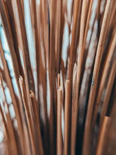Close-up of a beautifully carved wooden walking stick resting against a rustic wooden table.