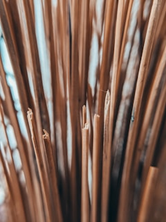 A close-up view of several long, thin wooden sticks standing upright. The focus is on the tips of the sticks, which appear natural and slightly weathered, creating a textured and organic feel. The background is blurred, enhancing the focus on the foreground elements.