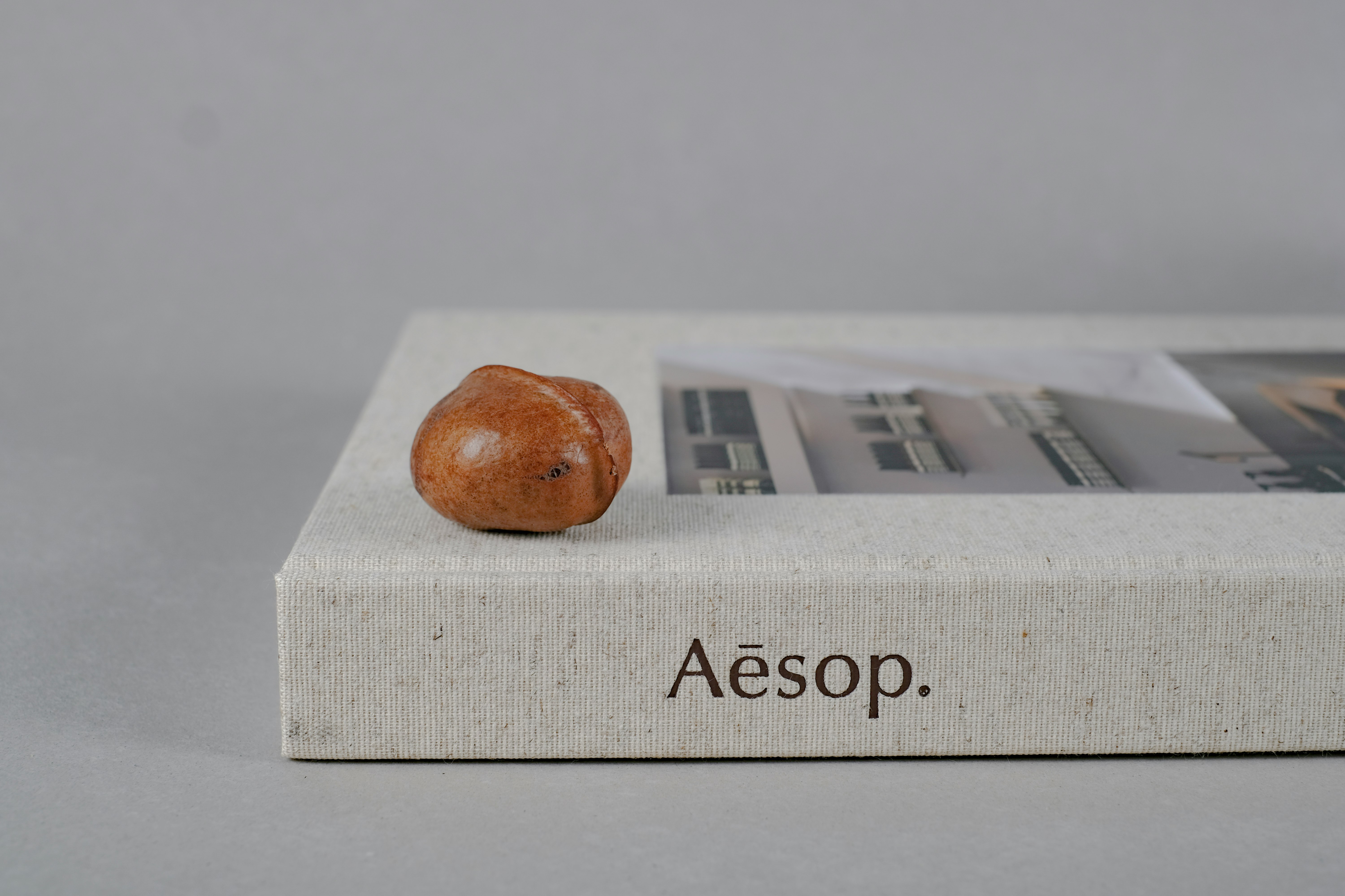 brown wooden ornament on white book