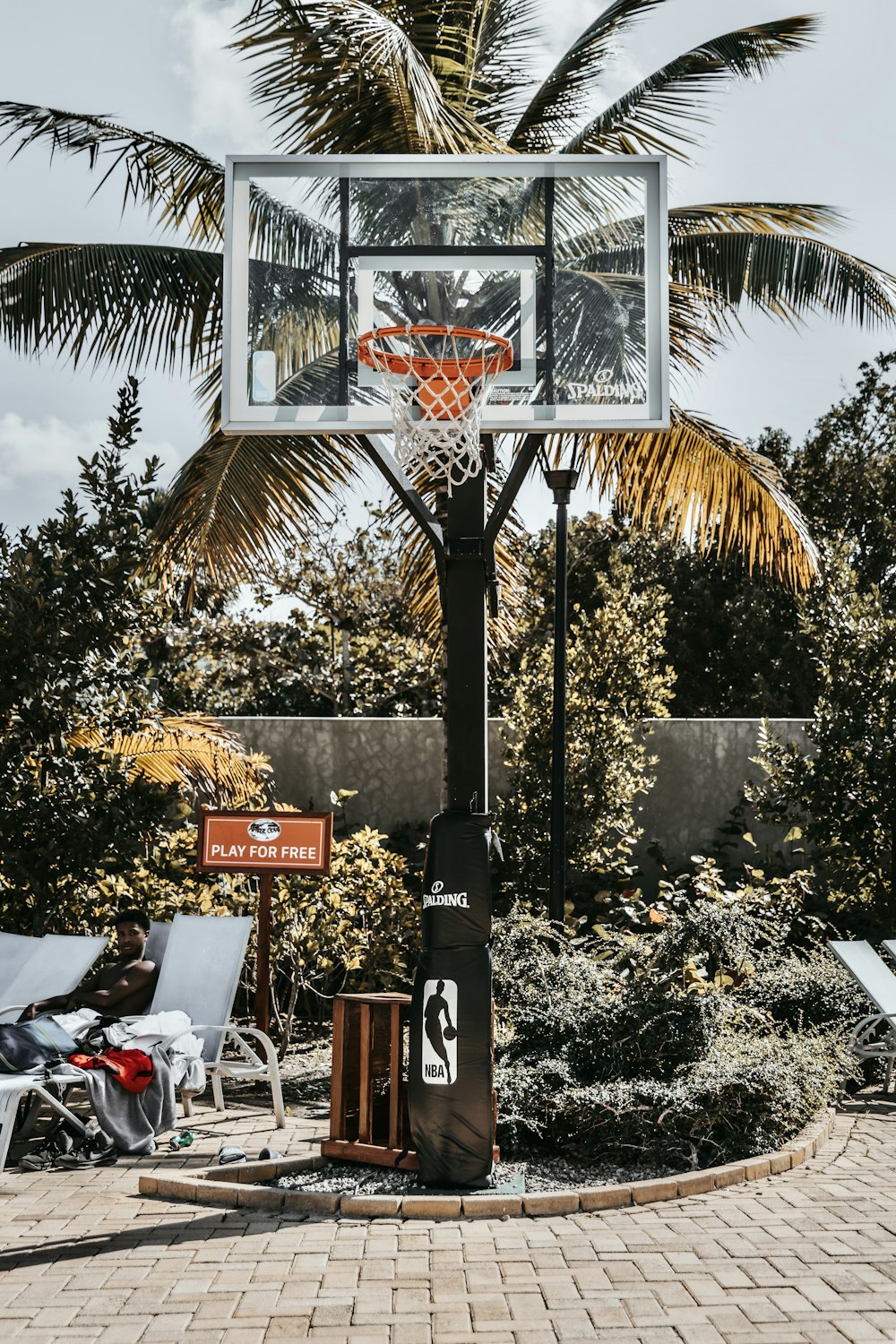 black and brown basketball hoop