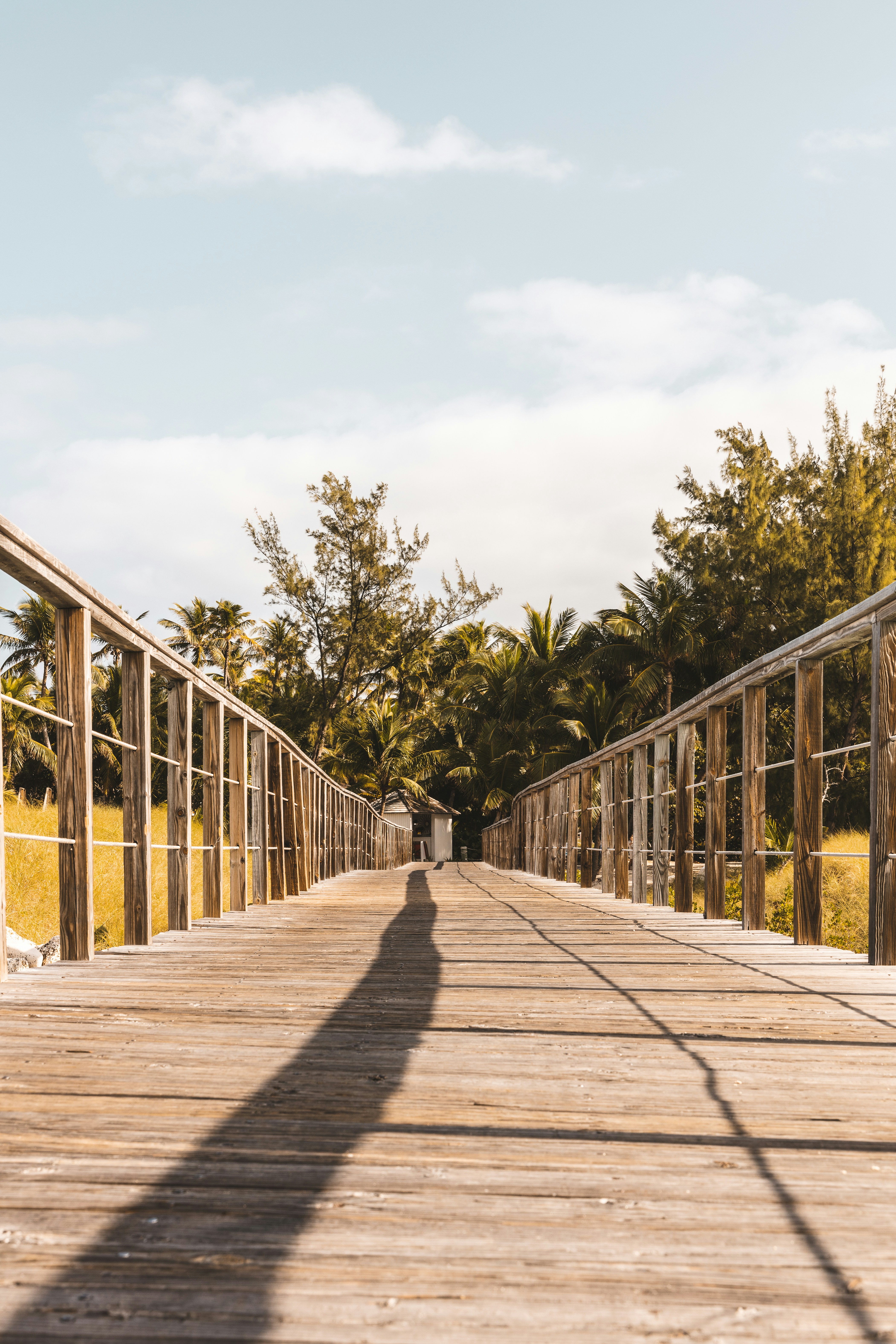 Photo by kelseypowers