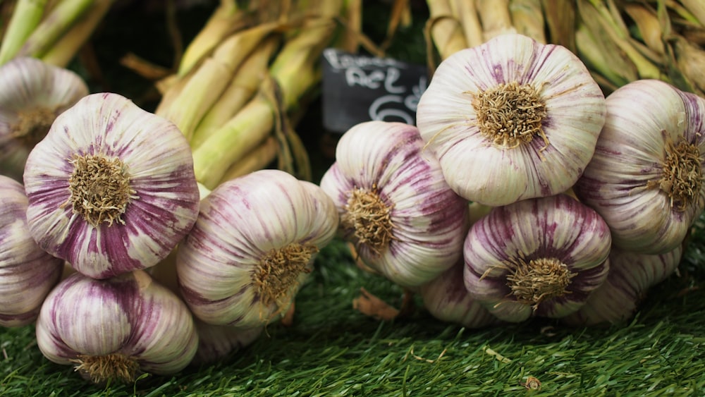 capullos florales púrpuras y blancos sobre hierba verde