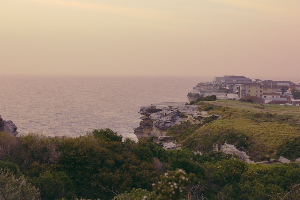 green grass on cliff by the sea