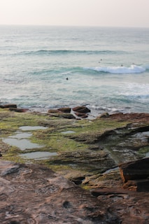 A calm seaside scene featuring a rocky shoreline with patches of green moss and tide pools. In the distance, several surfers are floating on their boards waiting for waves. The ocean's waves are gentle, creating a peaceful atmosphere.