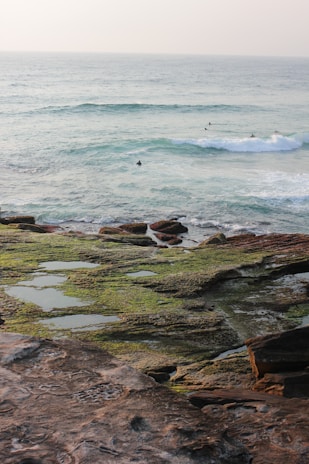 A calm seaside scene featuring a rocky shoreline with patches of green moss and tide pools. In the distance, several surfers are floating on their boards waiting for waves. The ocean's waves are gentle, creating a peaceful atmosphere.