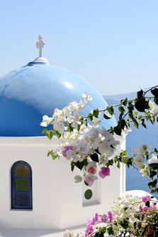 white and blue dome building