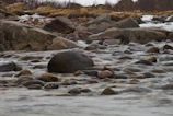 A dry riverbed design with smooth pebbles and natural landscaping blending into the environment.