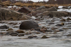 A dry riverbed design with smooth pebbles and natural landscaping blending into the environment.