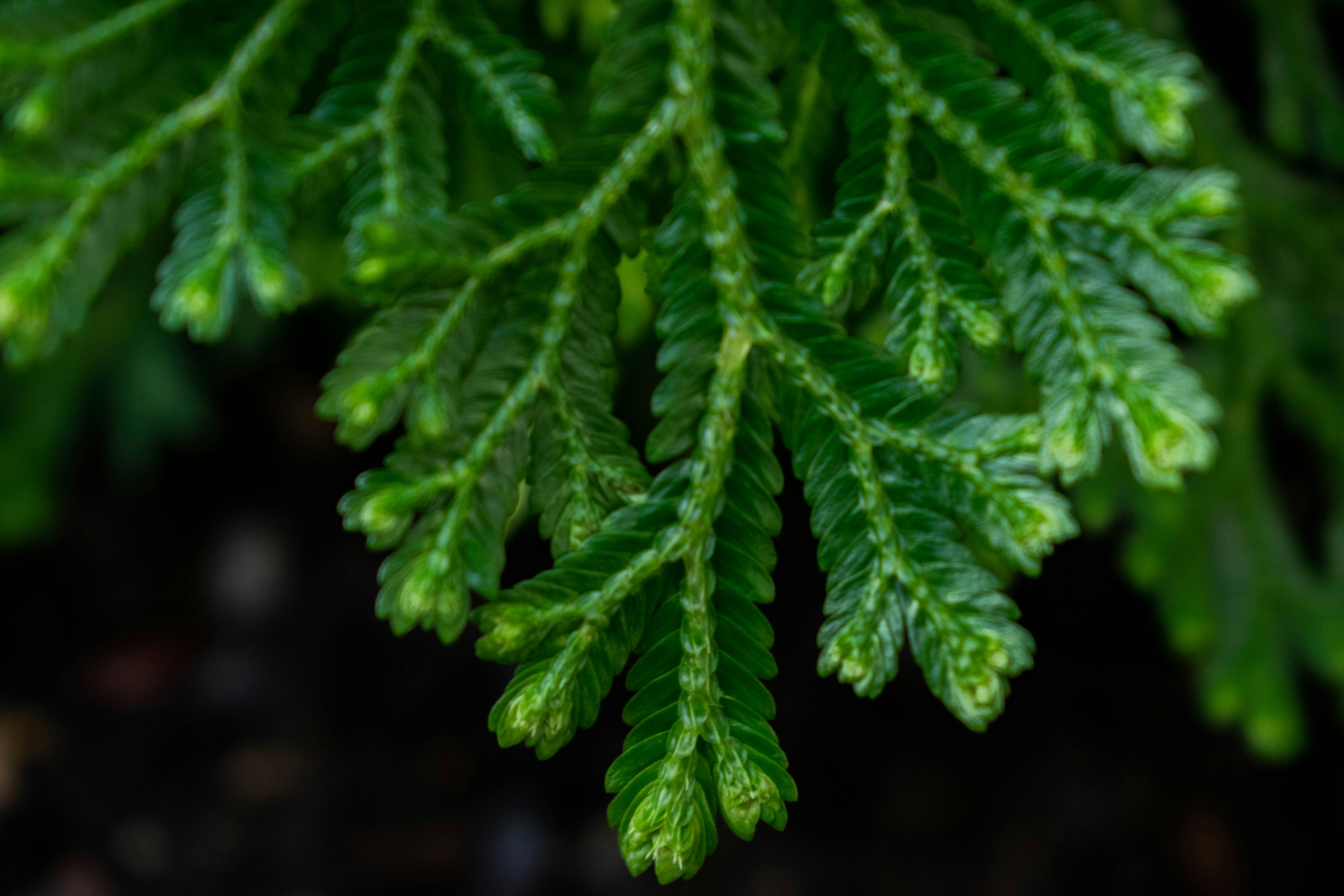 Photo by joshua_mason