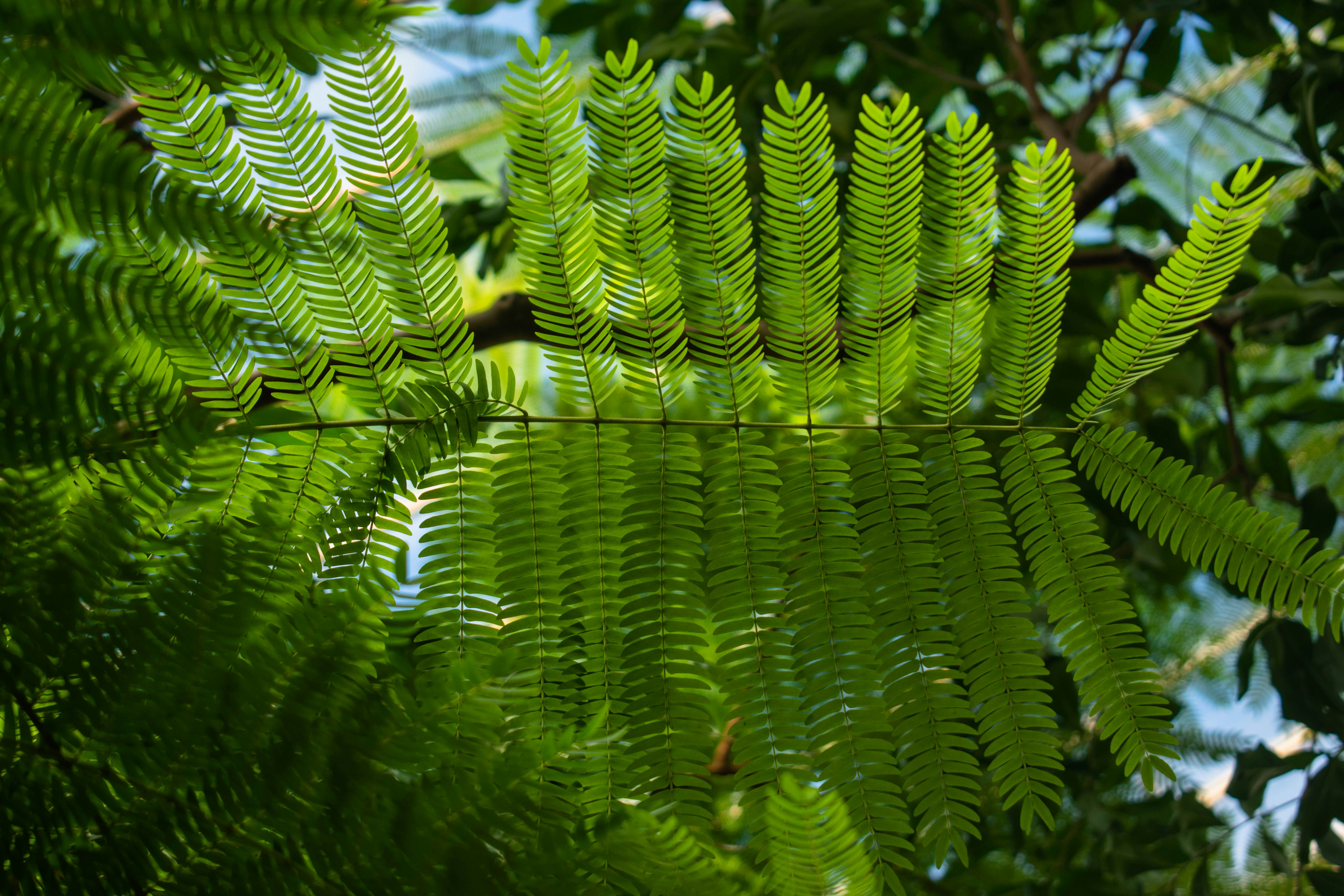 Photo by joshua_mason