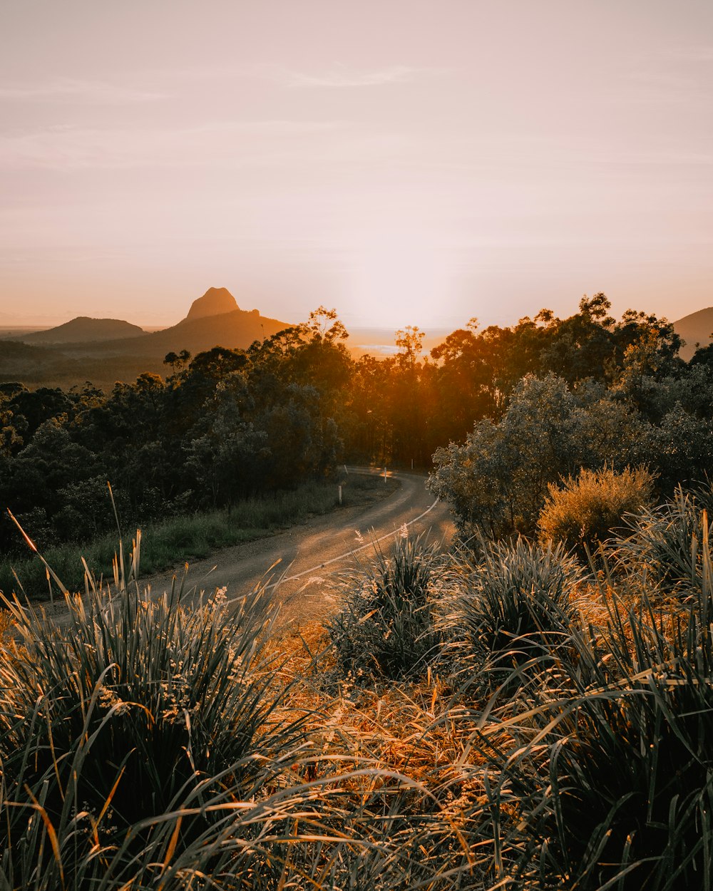 gray road between green grass field during sunset