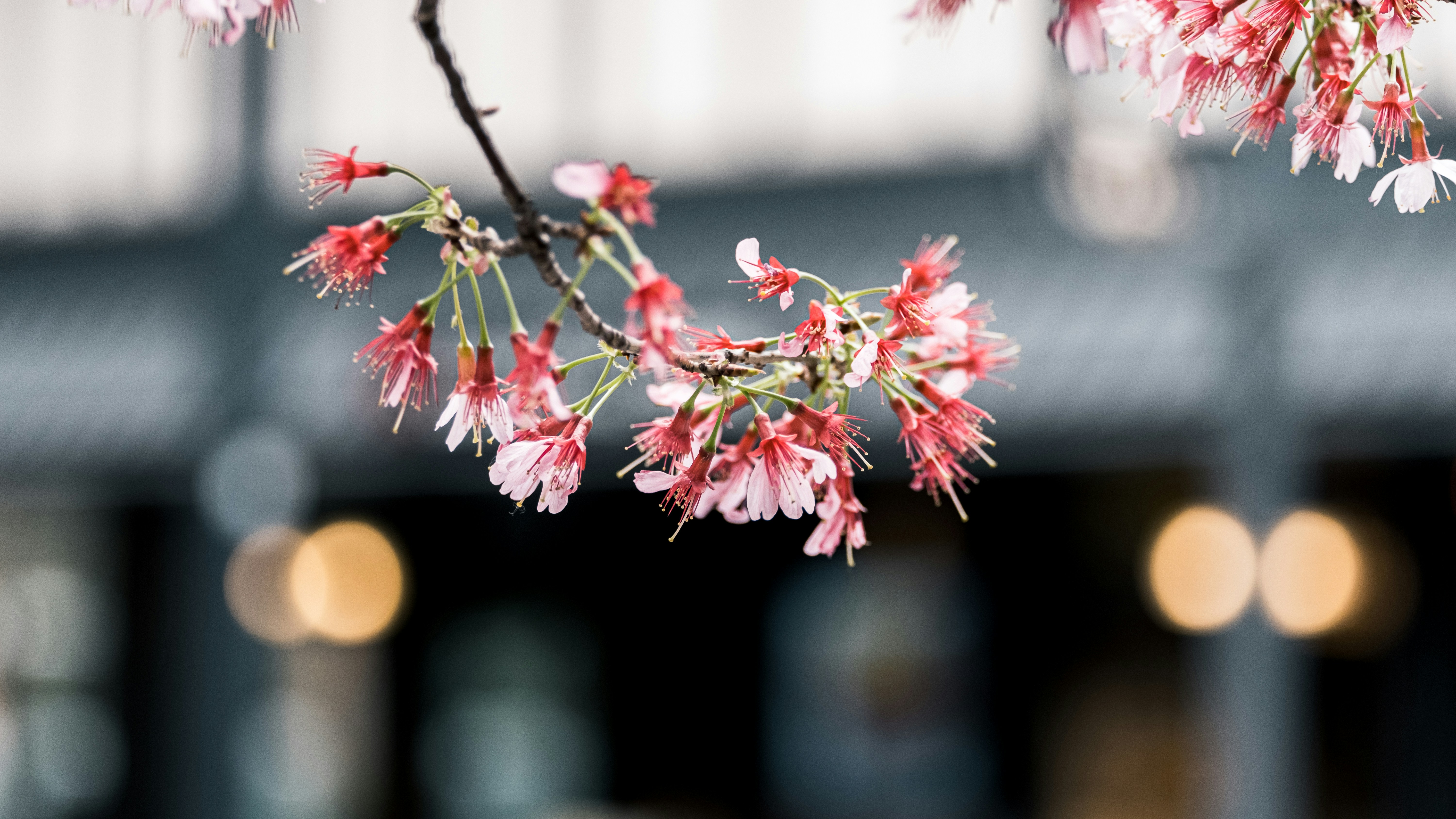 川崎 フロンターレ 限定 ユニフォーム