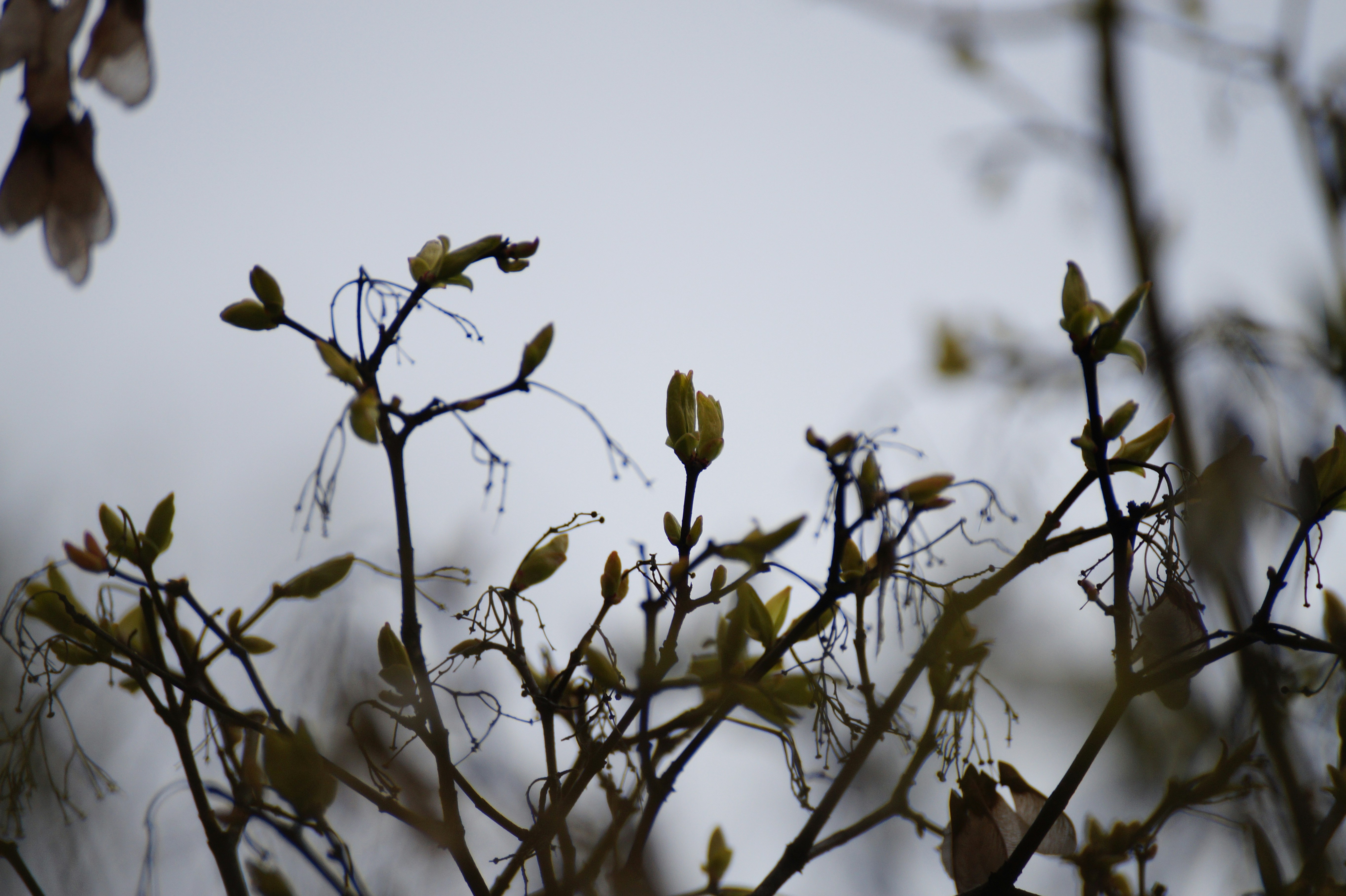 Photo by andras_adam