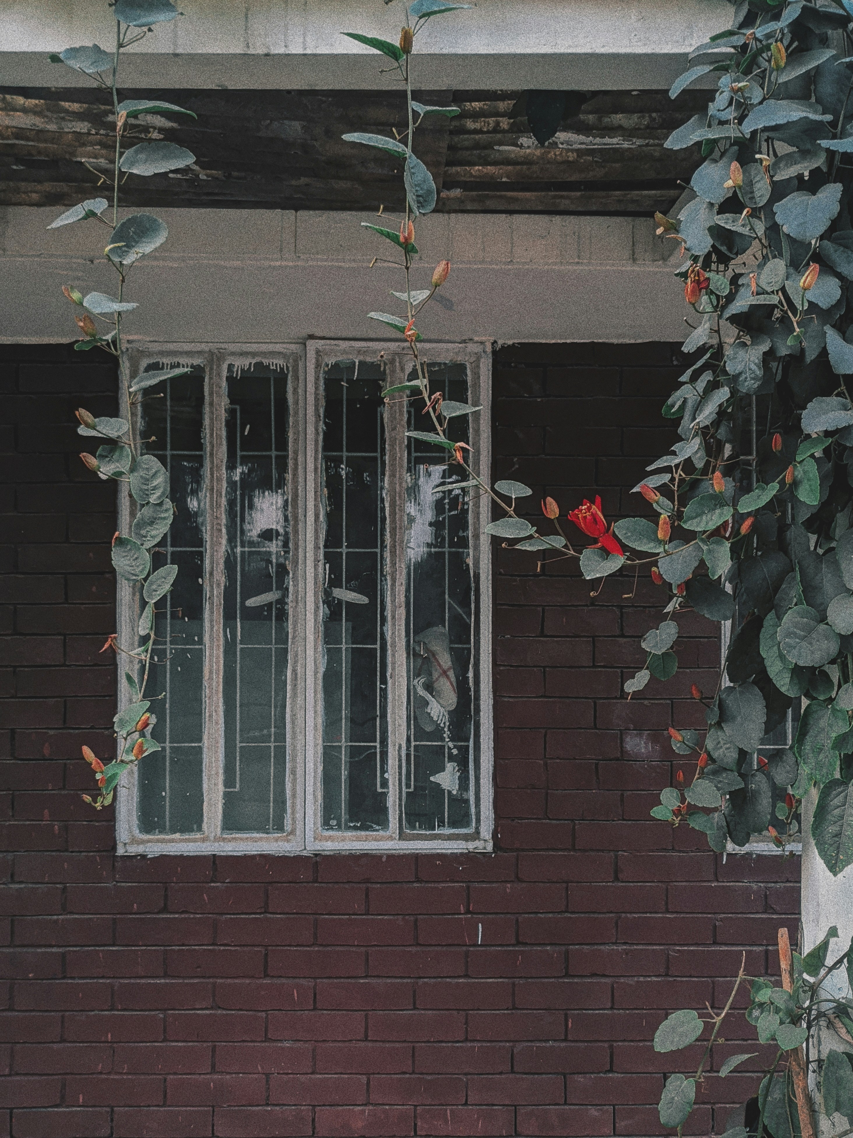 Photo by pixelpoet