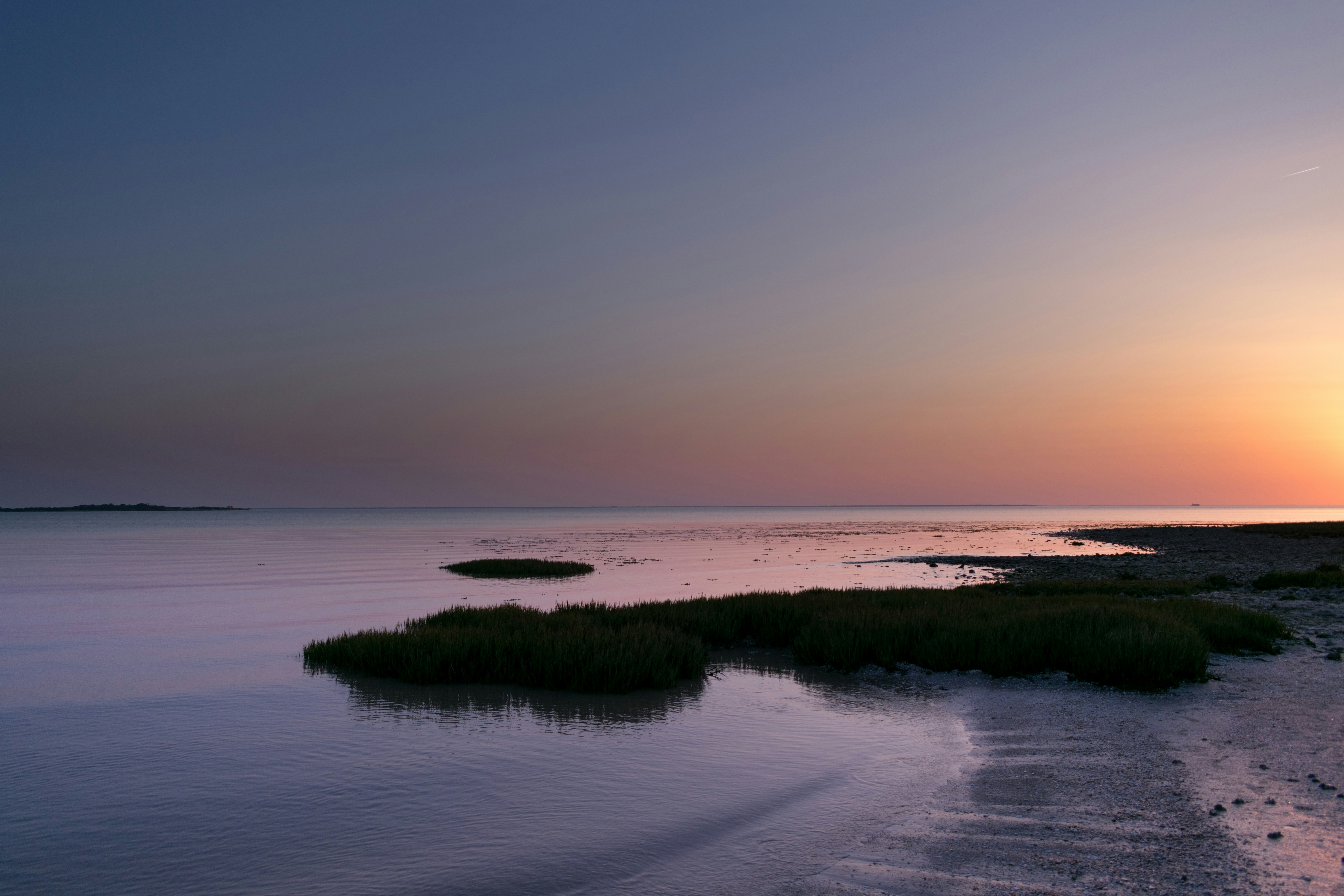 Photo by simonpallard