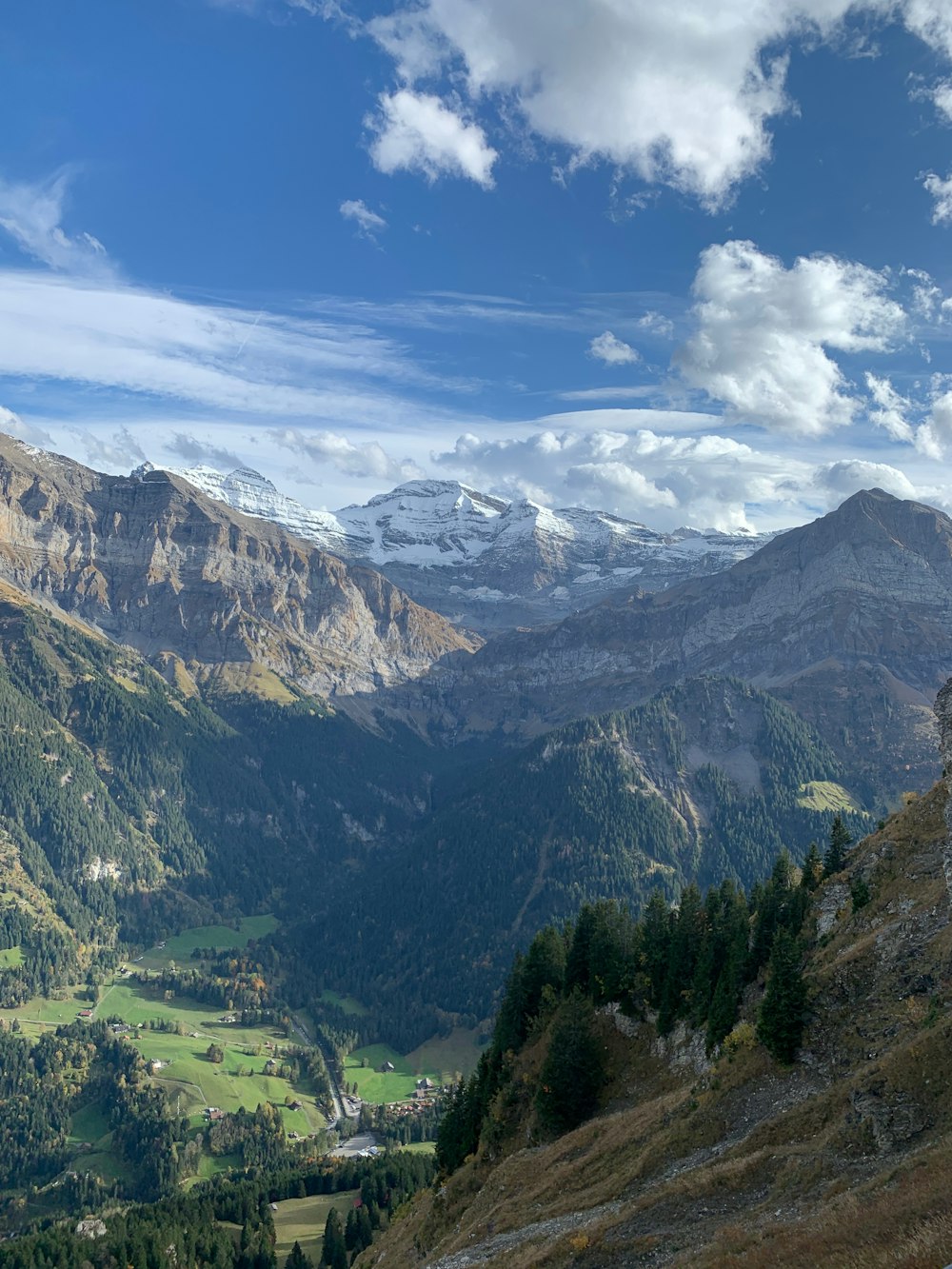 green trees on mountain under blue sky during daytime