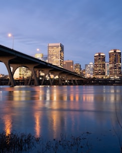 bridge over water near city buildings during night time