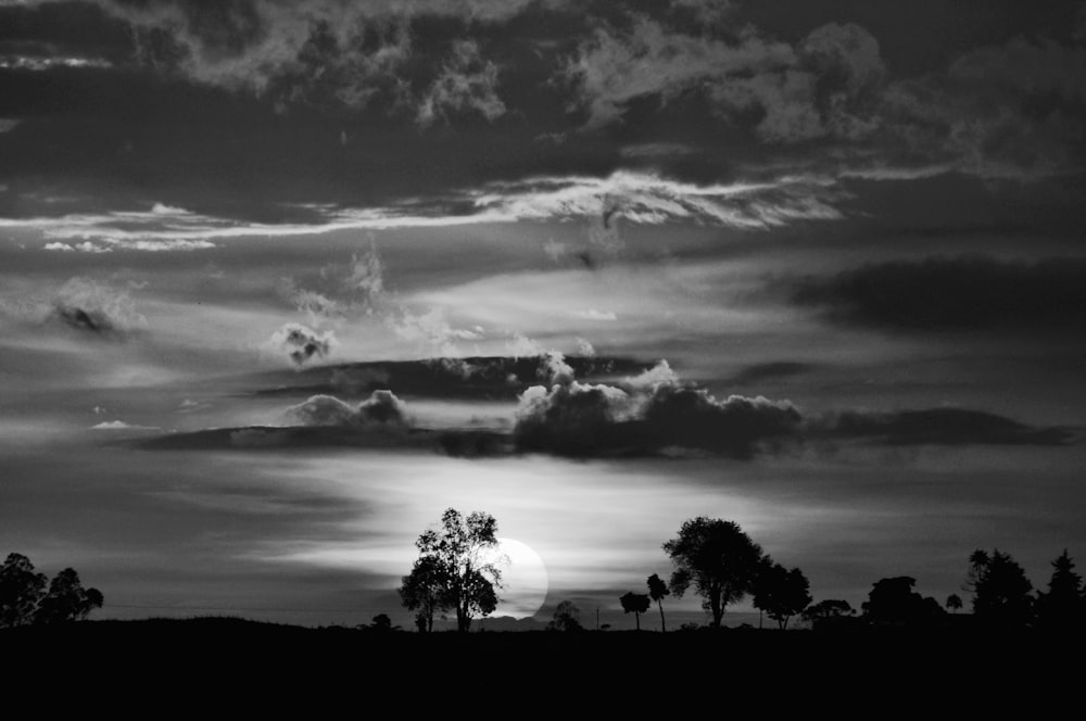 grayscale photo of trees under cloudy sky