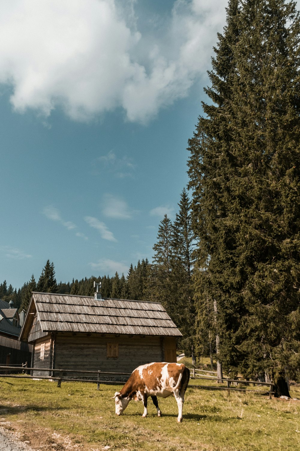 brown wooden house near green trees under blue sky during daytime