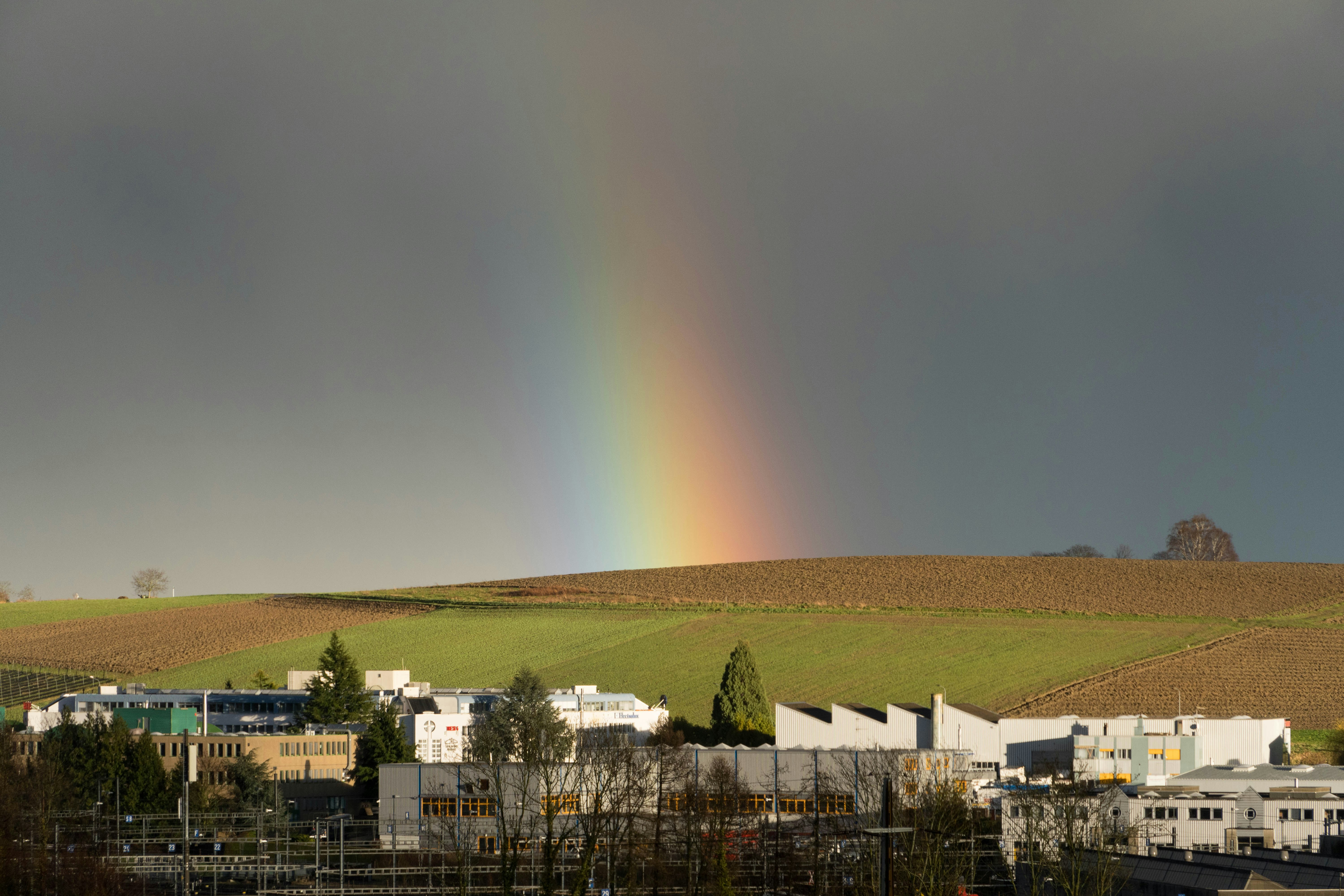 White and brown houses near green grass field under gray sky photo ...