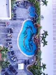 An aerial view of a swimming pool area, featuring a large, uniquely shaped pool with a decorative pattern visible at the bottom. Surrounding the pool are several lounge chairs, many of which are occupied by people relaxing. There is a smaller circular hot tub nearby, also occupied. Palm trees and well-maintained greenery border the poolside area, adding a tropical atmosphere.