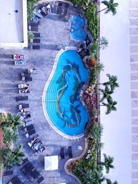 An aerial view of a swimming pool area, featuring a large, uniquely shaped pool with a decorative pattern visible at the bottom. Surrounding the pool are several lounge chairs, many of which are occupied by people relaxing. There is a smaller circular hot tub nearby, also occupied. Palm trees and well-maintained greenery border the poolside area, adding a tropical atmosphere.