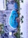 An aerial view of a swimming pool area, featuring a large, uniquely shaped pool with a decorative pattern visible at the bottom. Surrounding the pool are several lounge chairs, many of which are occupied by people relaxing. There is a smaller circular hot tub nearby, also occupied. Palm trees and well-maintained greenery border the poolside area, adding a tropical atmosphere.