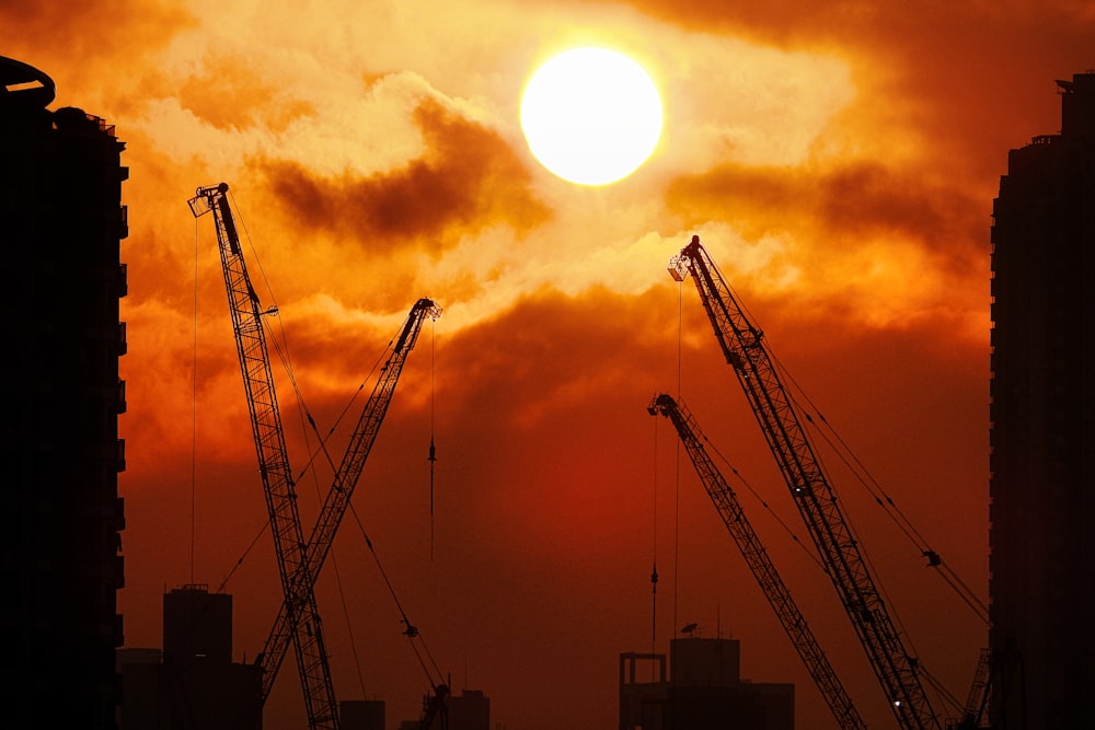 silhouette of crane during sunset