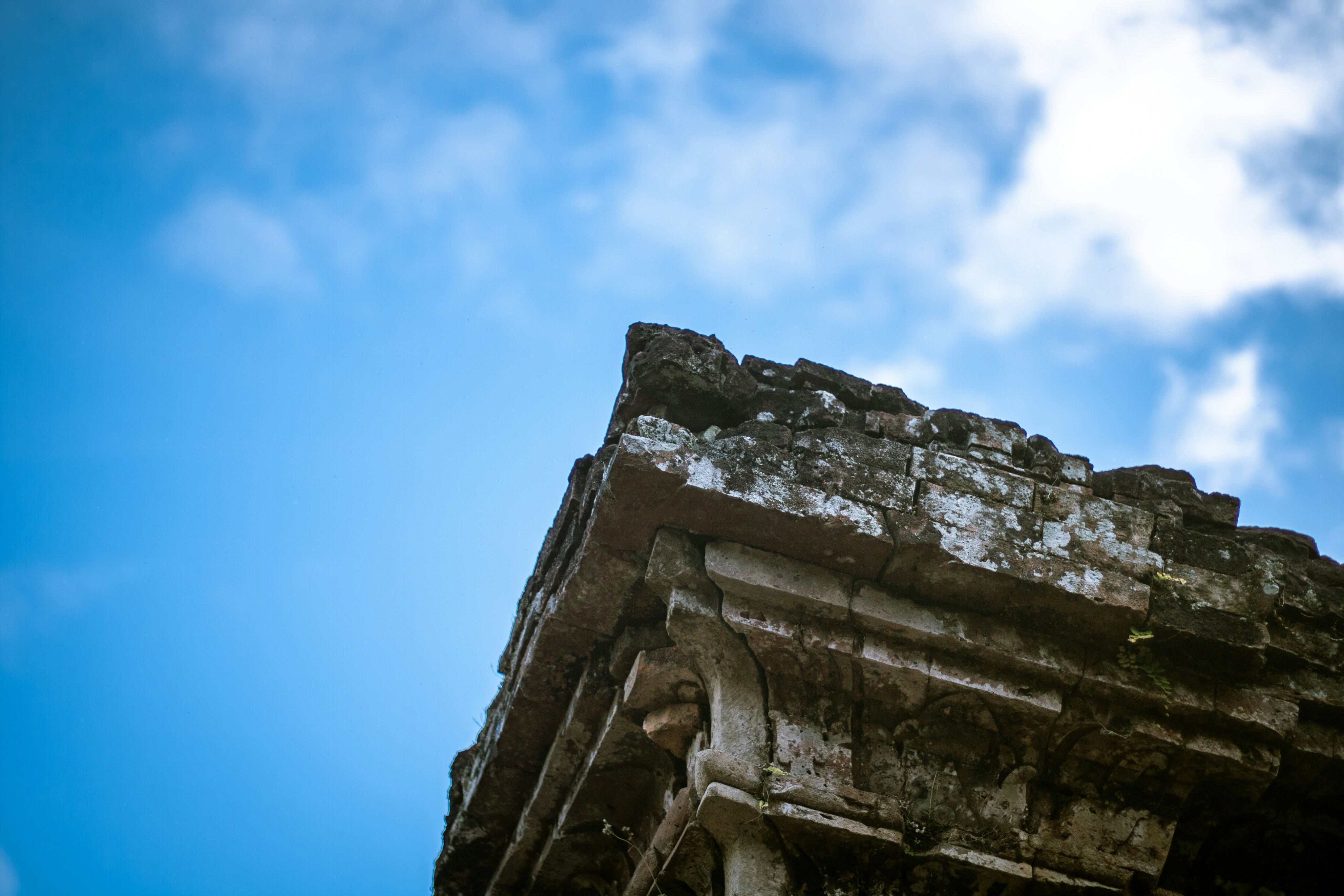 Photo by tsaiwen_hsu