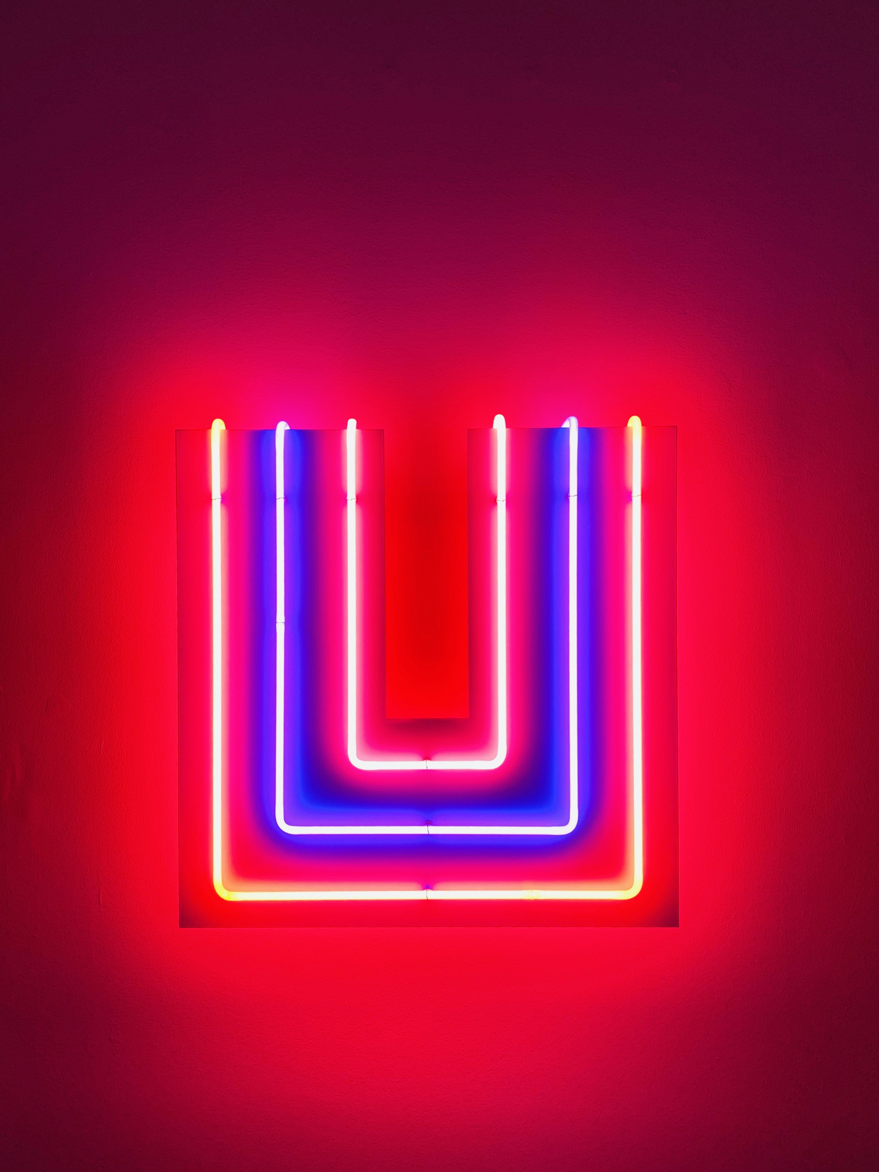 pink and purple light illustration