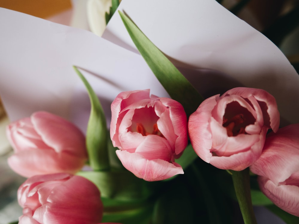 Fleur rose et blanche sur vase en céramique blanche