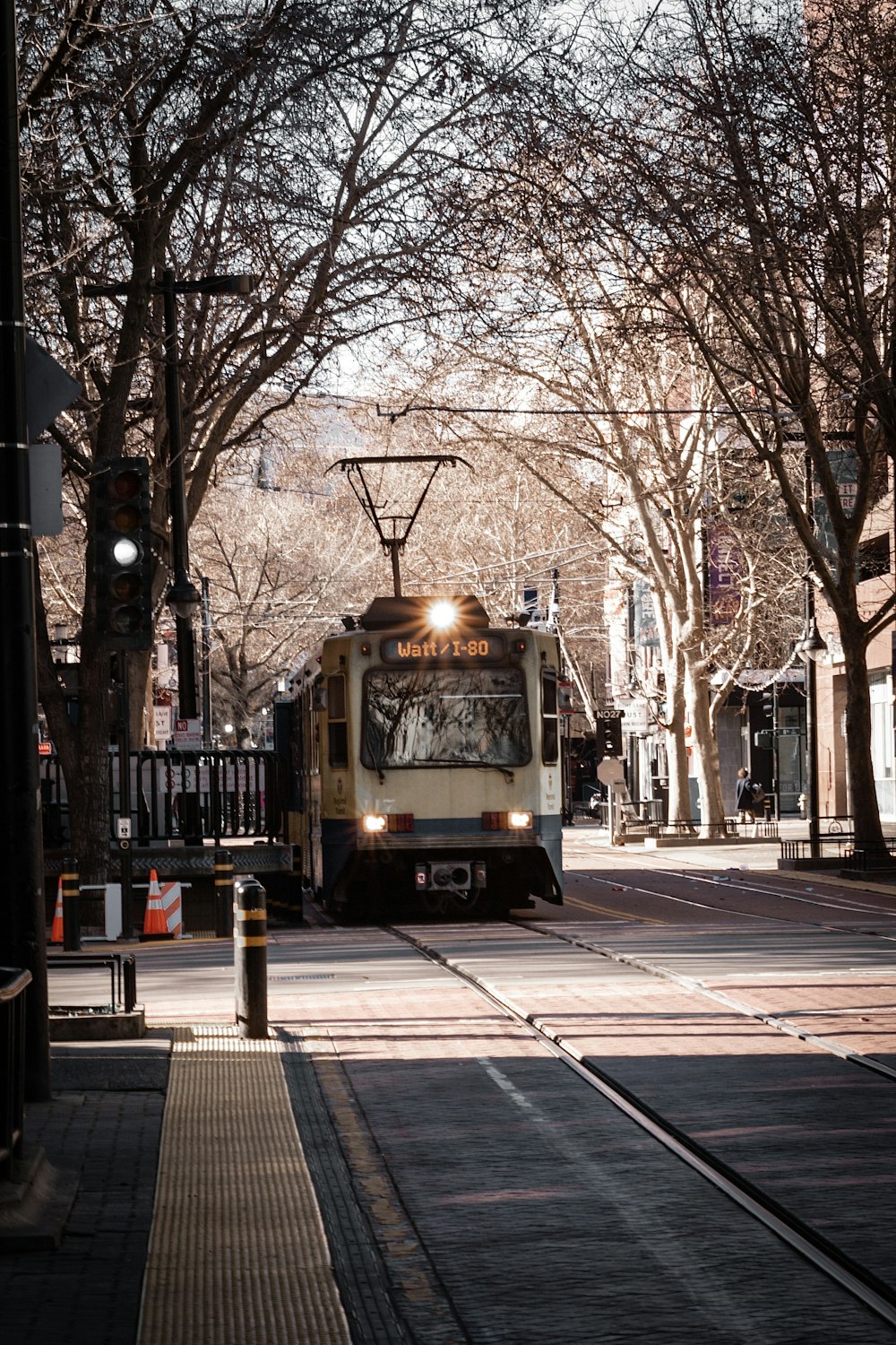 yellow tram on road near bare trees during daytime